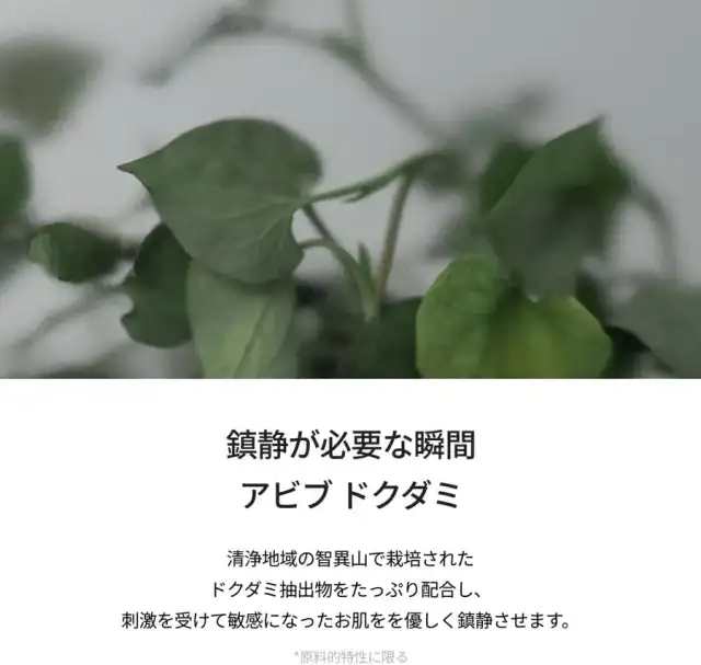 Abib ドクダミエッセンス カーミングポンプ 50ml アビブ 韓国コスメ スキンケア 美容液 敏感肌 保湿 肌荒れ 詳細イメージ 3