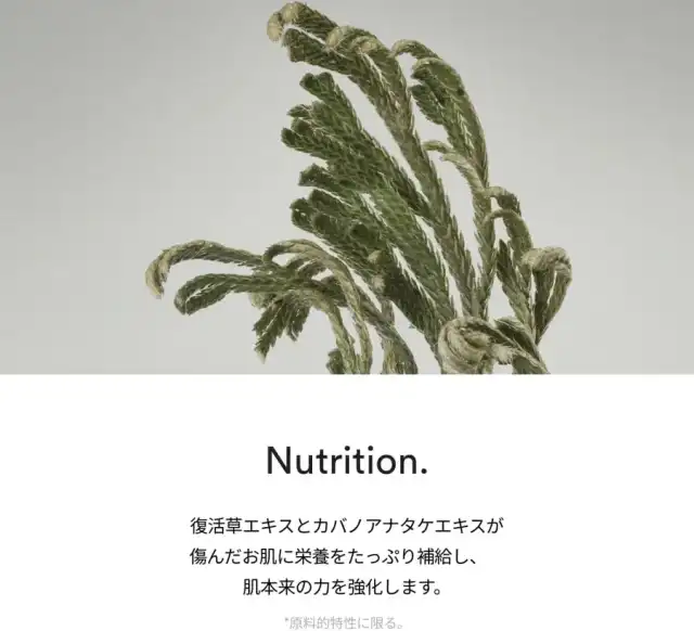 Abib 復活草クリーム ニュートリションチューブ 75ml アビブ 韓国コスメ 保湿クリーム 敏感肌 保湿 しっとり 高保湿 栄養 再生 詳細イメージ 3