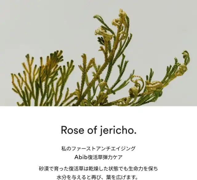Abib コラーゲンアイクリーム復活草チューブ 30ml 目元ケア 保湿 ハリ 透明感 ナイアシンアミド 詳細イメージ 4