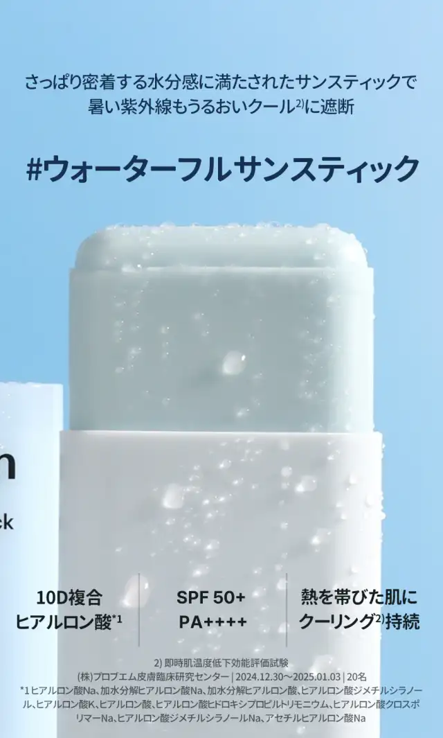 ダイブイン サンスティック 詳細イメージ 2
